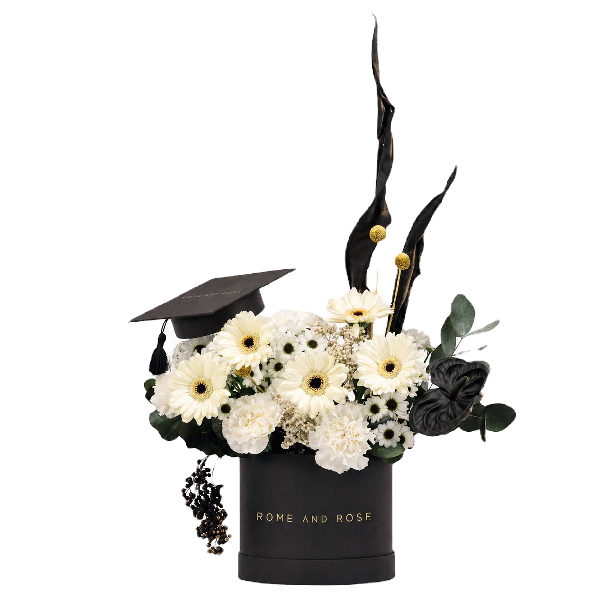 Graduación Small — rosas crema