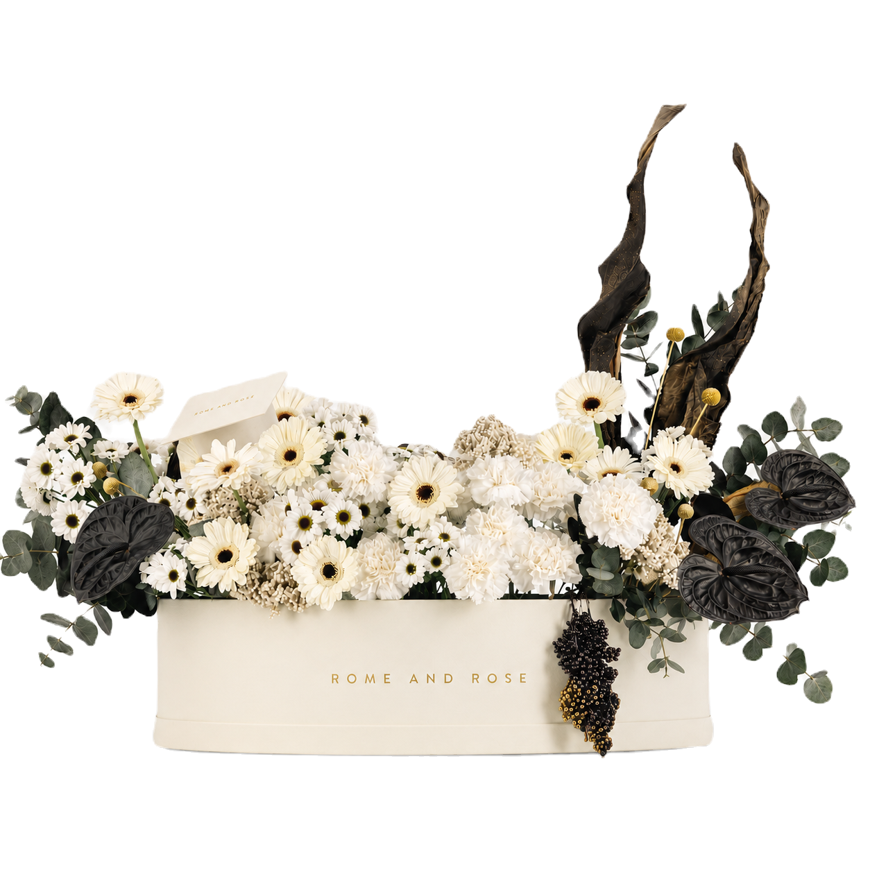 Graduación Extra Grand — rosas crema