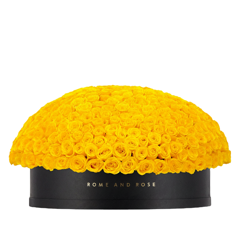 Signature Extra Grand — yellow